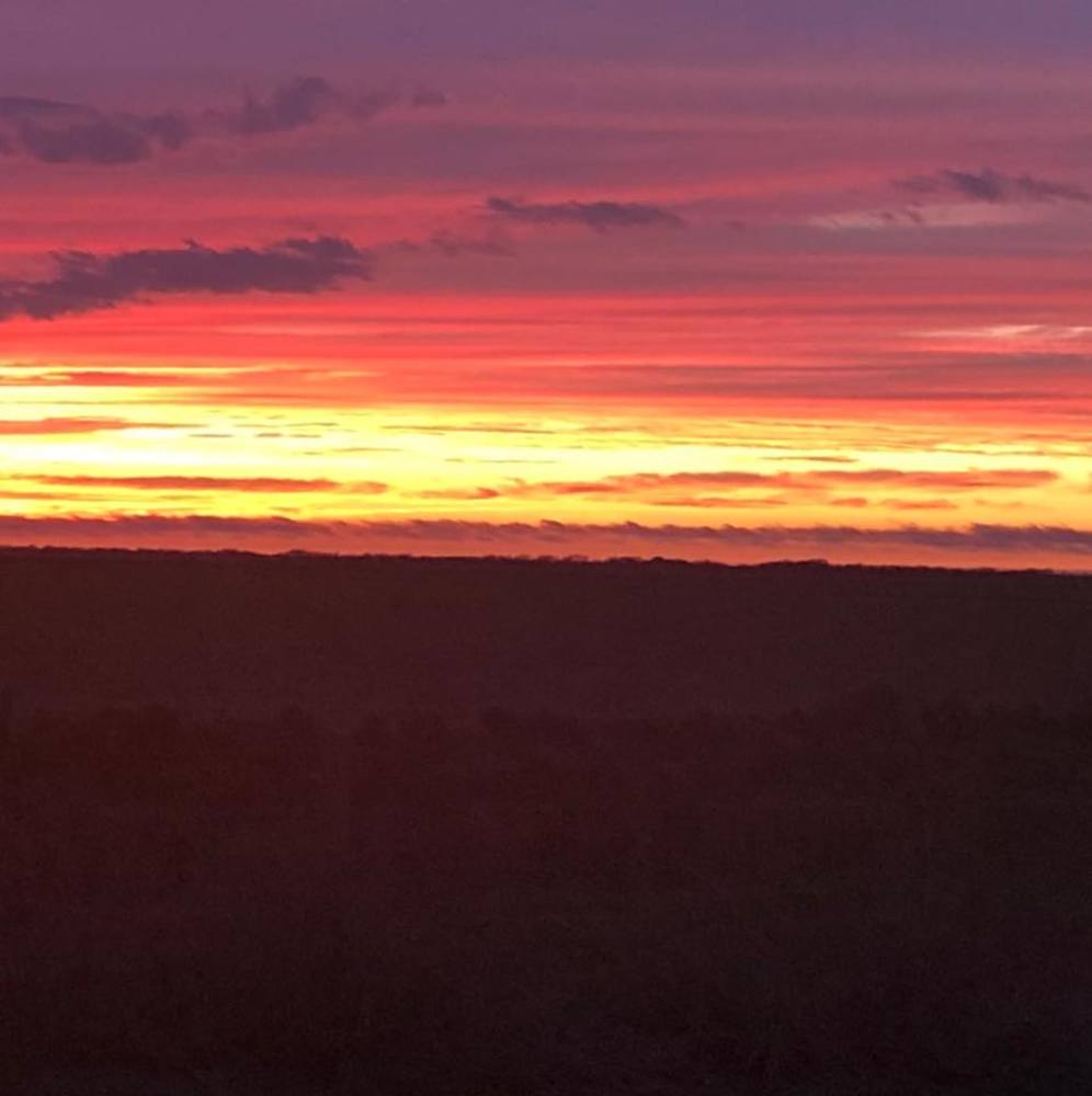 Meet your Posher, Pamela